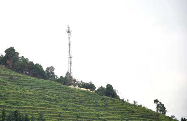 Cell towers and mobile phone radiation