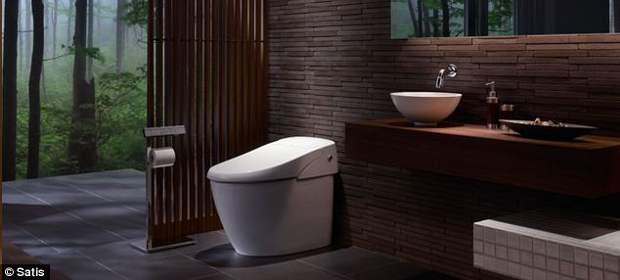 Now a smart toilet that can be controlled by a handset