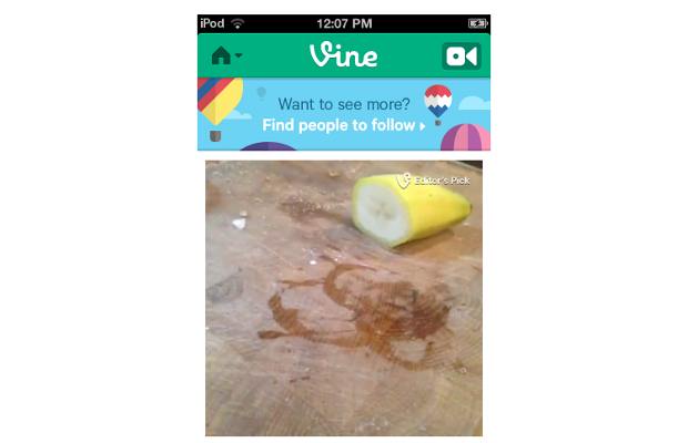 Vine app gets adult rating