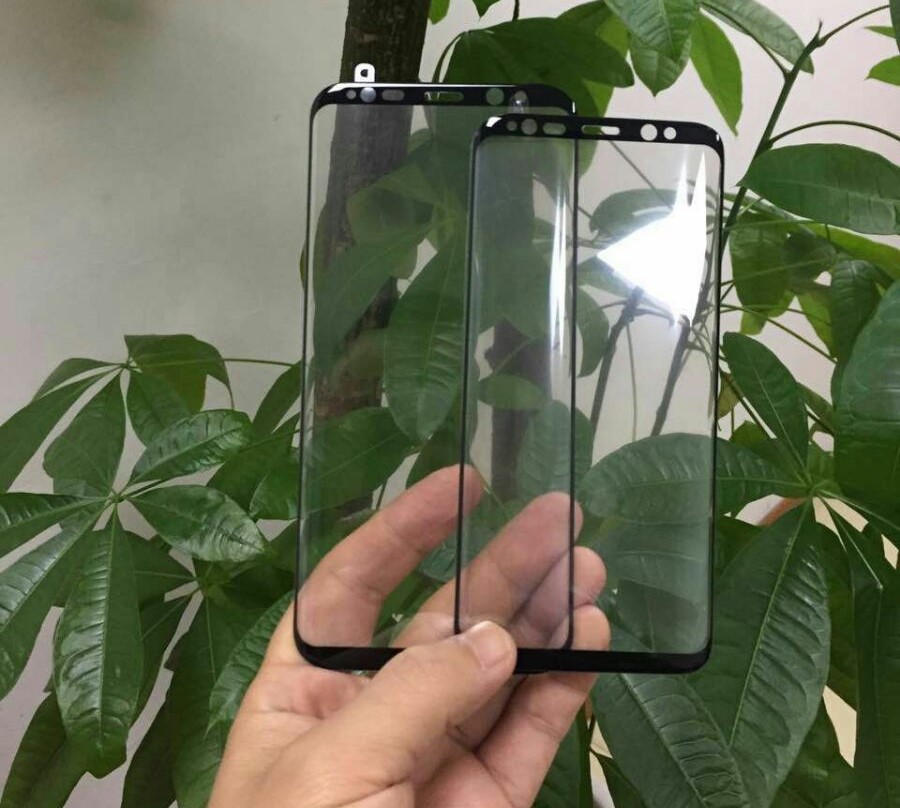 Samsung Galaxy S8 Display