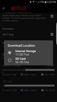 netflix sd card support