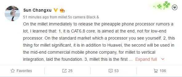 Xiaomi Pinecone processor