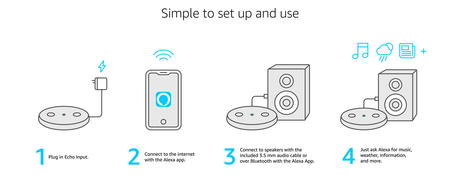 how to use echo input