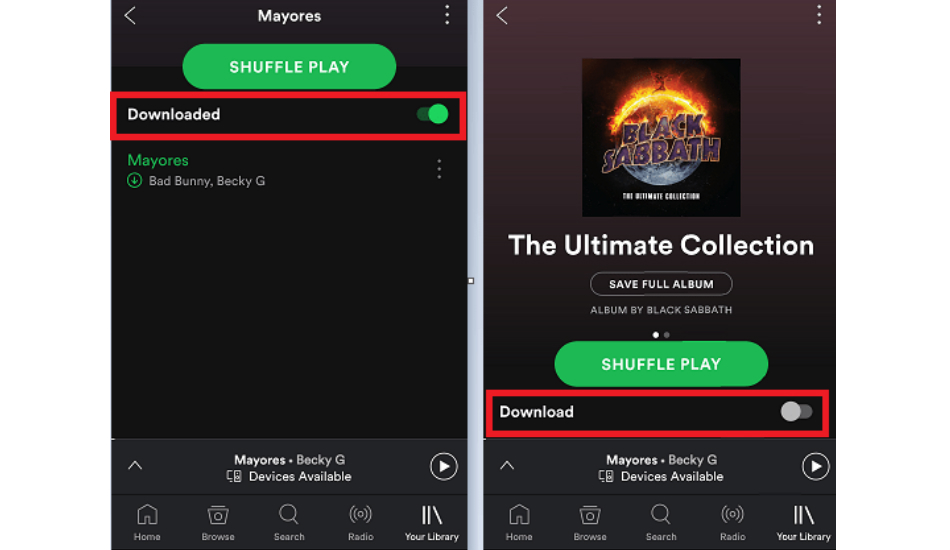 Spotify Downloads