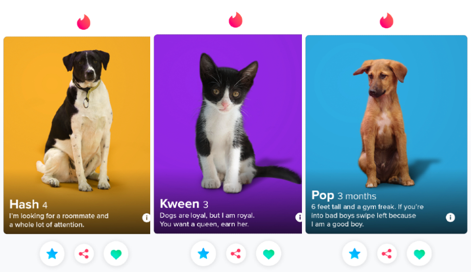 Tinder will now match you with your future pet