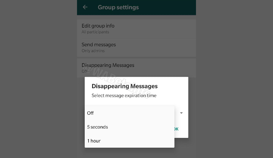 WhatsApp testing self-destructing messages