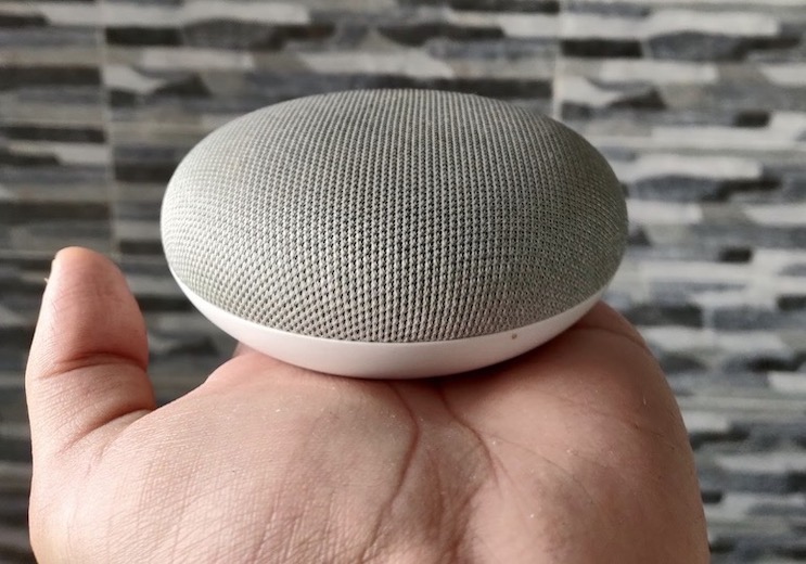 echo dot vs google home mini india