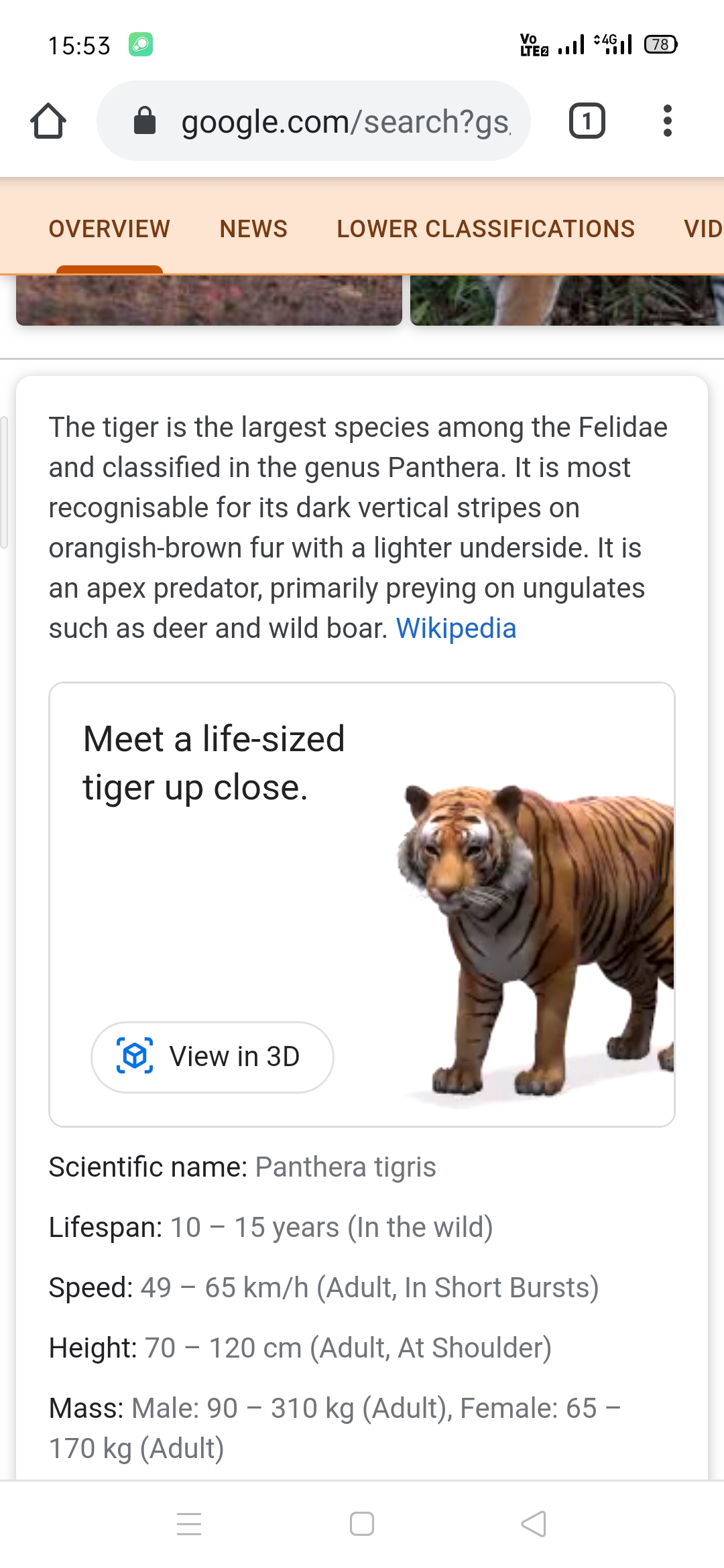 Google 3D Animals