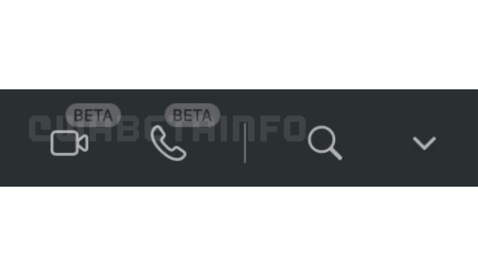 WhatsApp Web call buttons