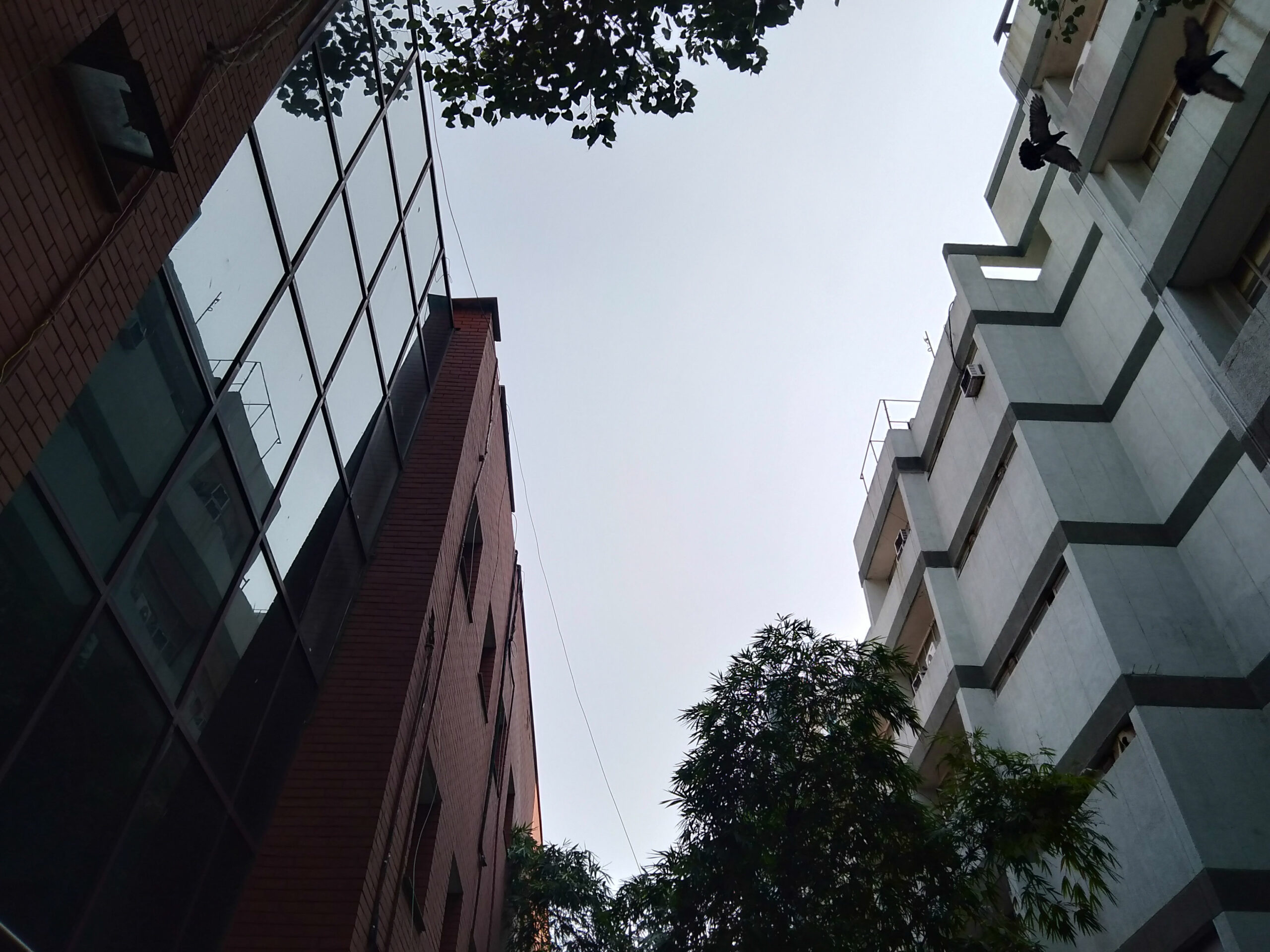 Realme C1 Camera Samples