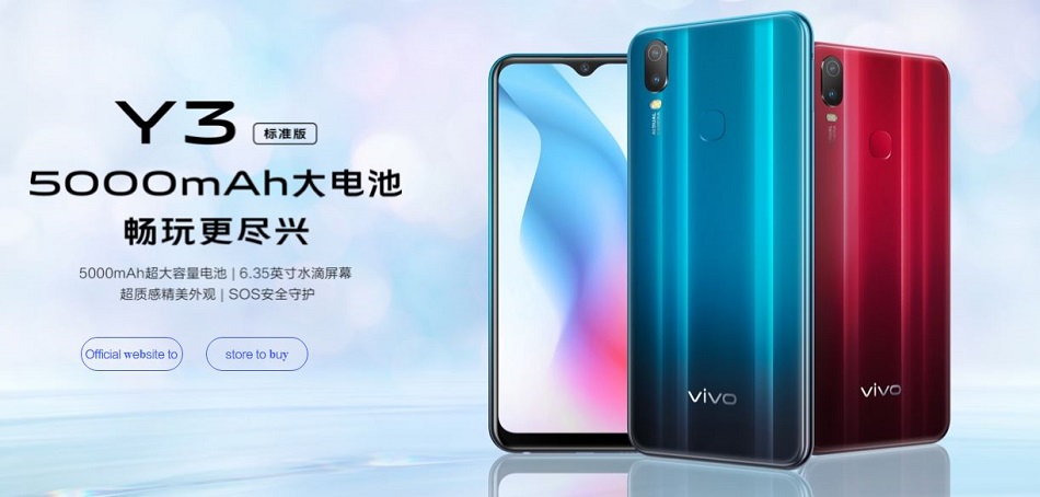 Vivo Y3 Standard Edition with Dual rear camera setup launched