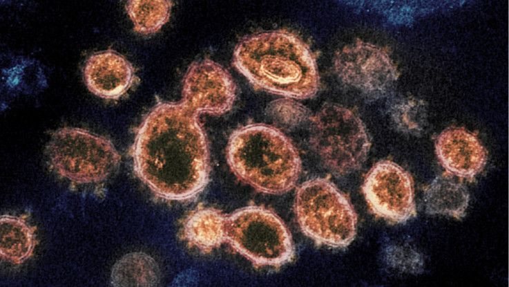 Reliance Jio, Bharti Airtel rolls out self-diagnosis for Coronavirus