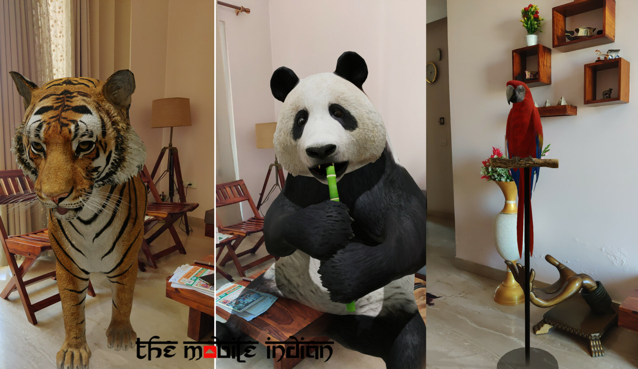 Google 3D Animals How to watch Tiger, Panda, Dog and more animals in 3D in your room