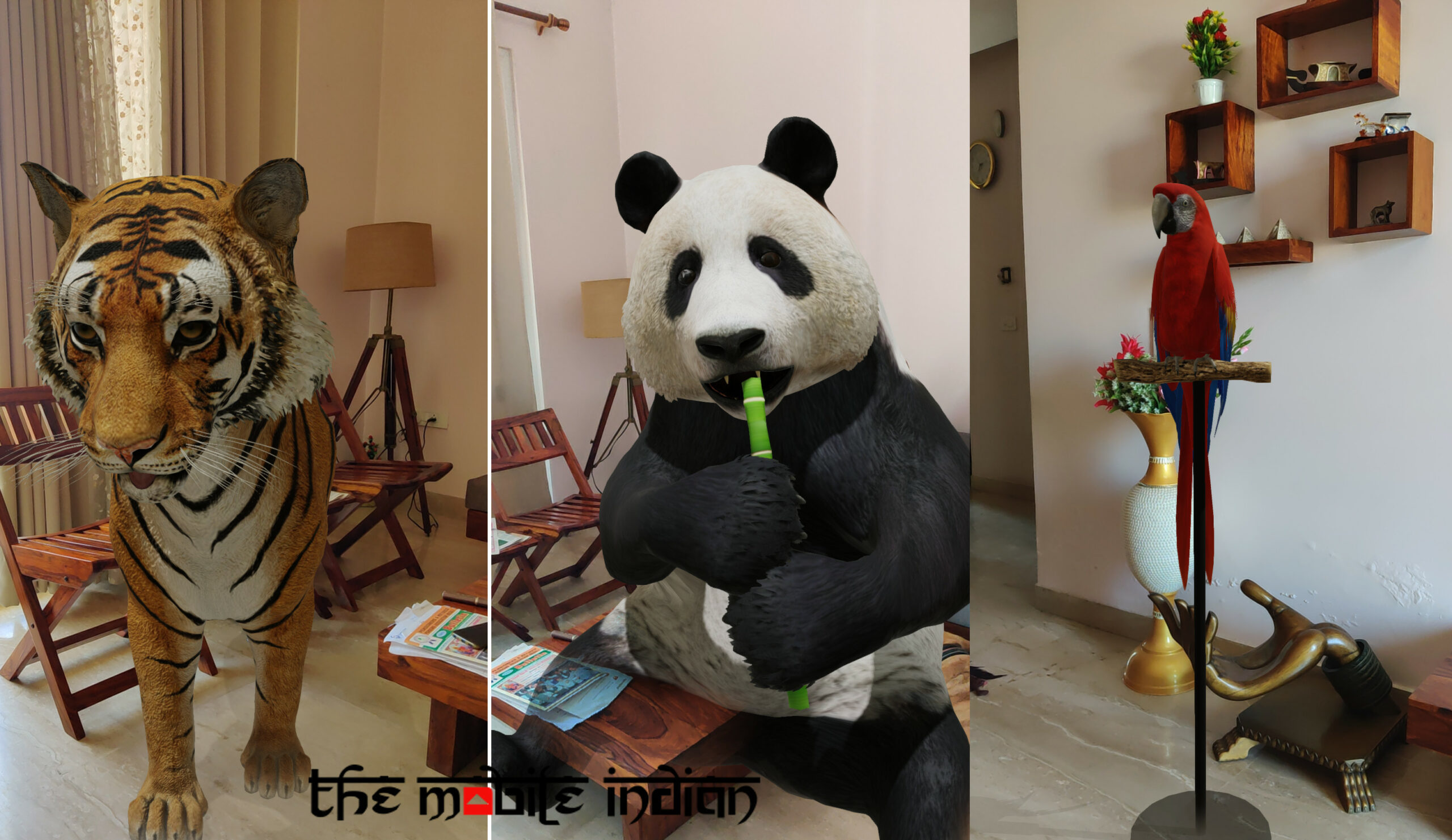 Google 3D Animals: How to watch Tiger, Panda, Dog and more animals in 3D in  your room