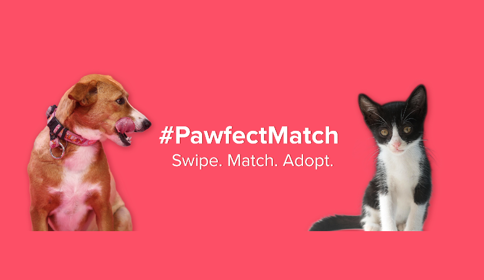 Tinder will now match you with your future pet