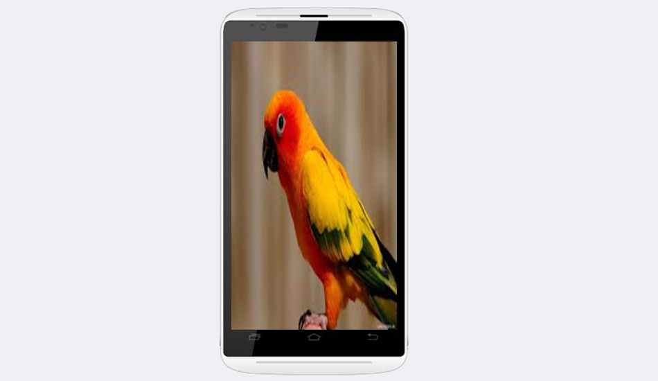 Phone with KitKat OS, quad core CPU, and 5 MP camera for just Rs 4,469