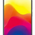 Vivo X21