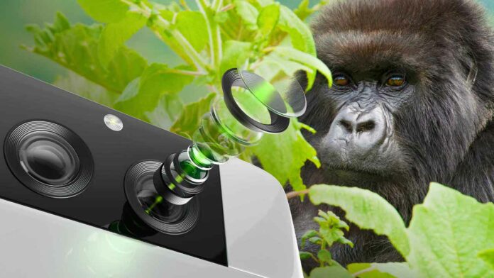 Corning Gorilla Glass with DX