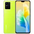 Vivo S10