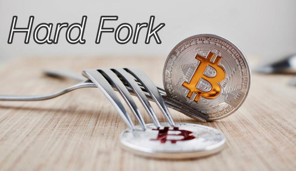 Explainer What is Hard Fork in Cryptocurrency?