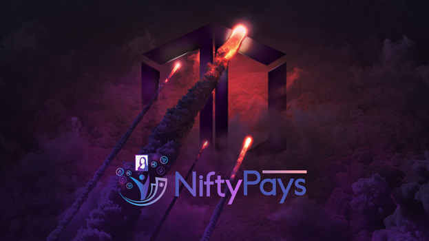 NiftyPays IDO Announced