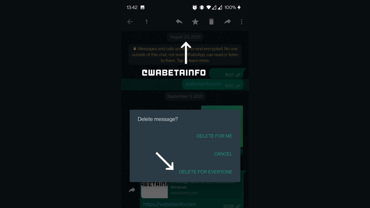 WhatsApp delete for everyone