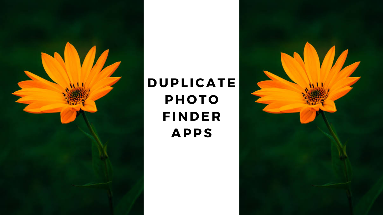 Best Duplicate Photo Finder Apps