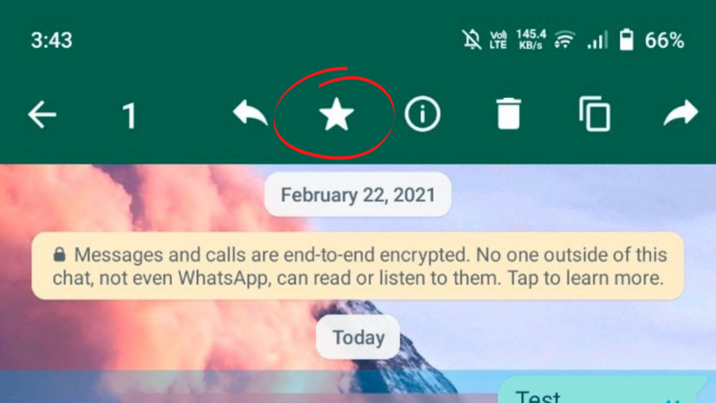 WhatsApp Bookmark Messages