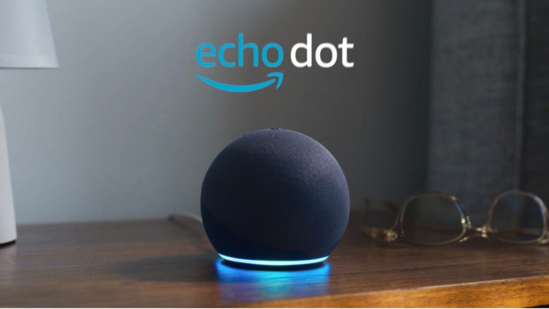 Amazon Echo dot christmas gift
