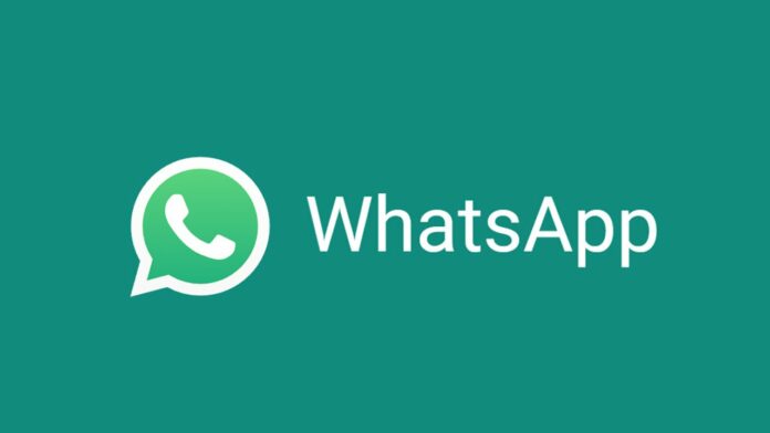 backup of WhatsApp