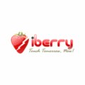 iBerry