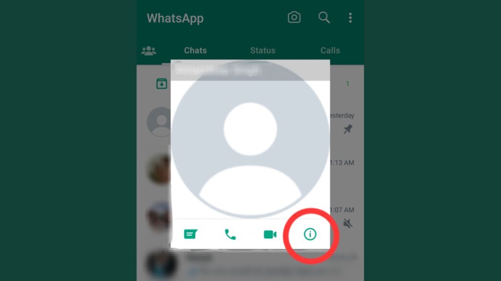 WhatsApp custom notifications