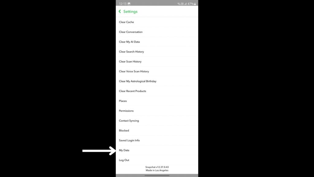 Can you view your login history on Snapchat and find who logged in to
