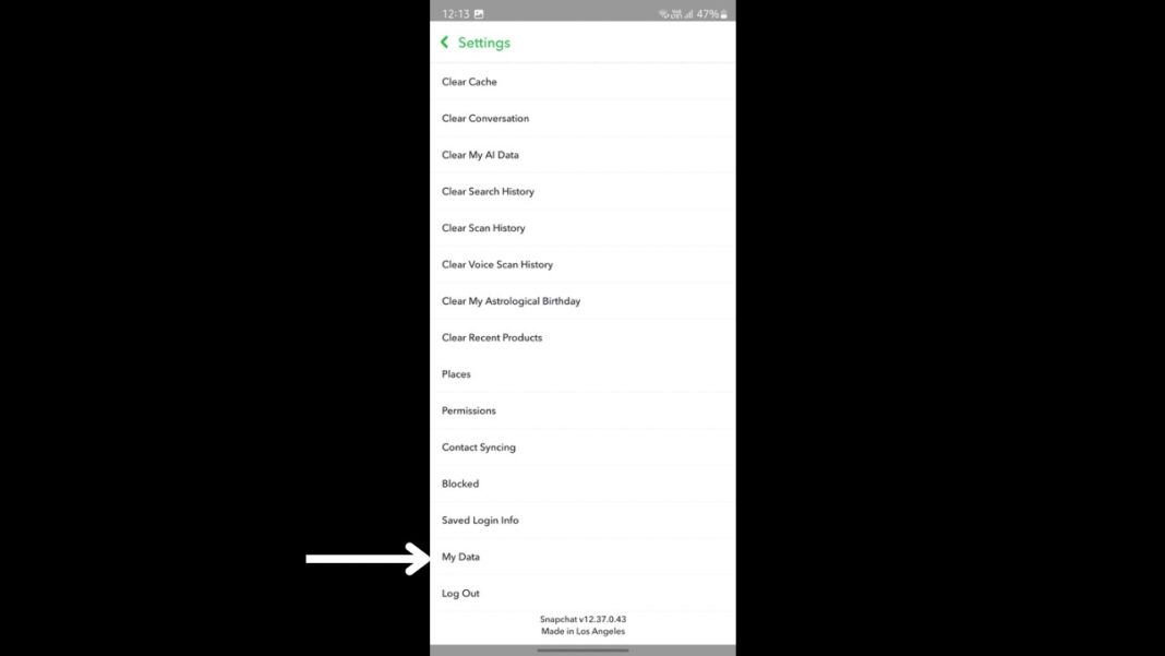 how to find who logged into your snapchat