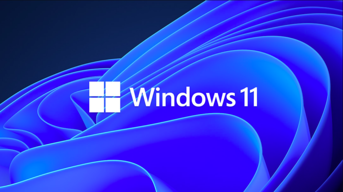 Windows 11