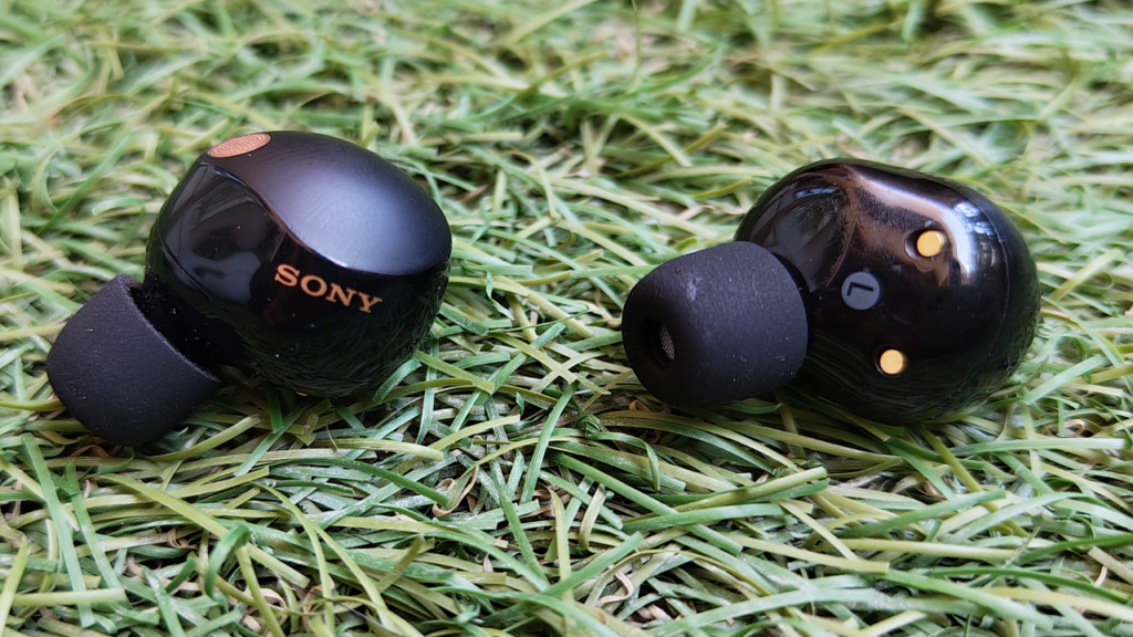 Sony WF-1000XM5 earbuds