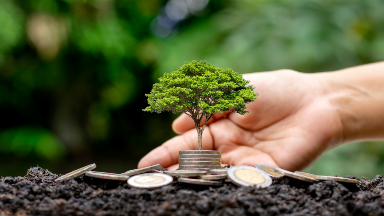 Indian Organizations Link Sustainability to Profitability, Boosting Investments: Study