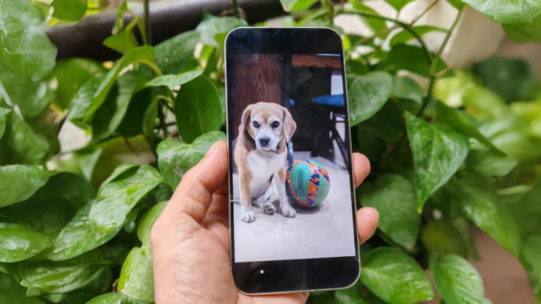 Google Pixel 9 Pro XL Review: Betting Big on AI