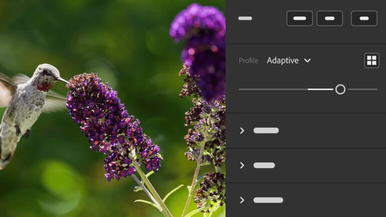 Adobe Announces New AI Features in Lightroom and Illustrator, Project Neo Launched in Public Beta