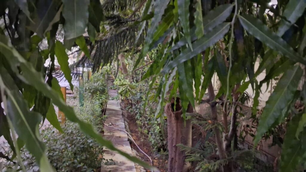 Review Samsung Galaxy M17 5G Low Light camera sample