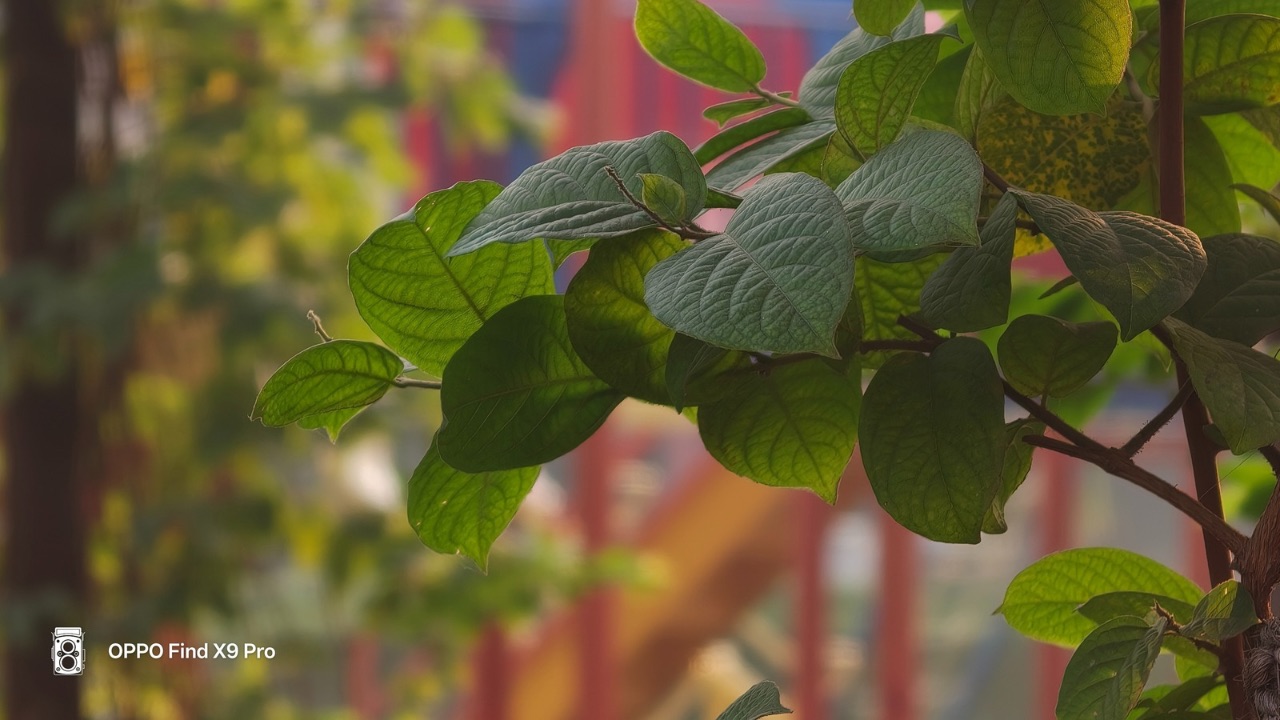 Oppo Find X9 Pro 7.5x shot