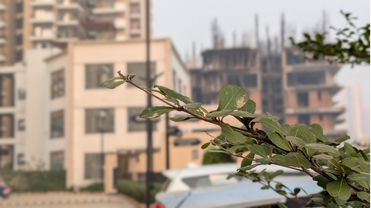 Pixel 10 Pro Fold Portrait